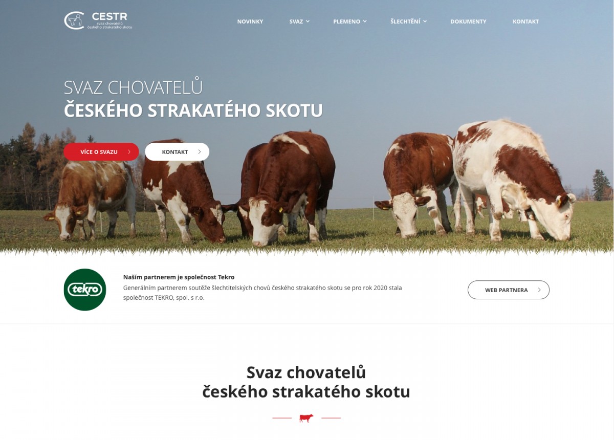 Náhled projektu Svaz chovatelů českého strakatého skotu 